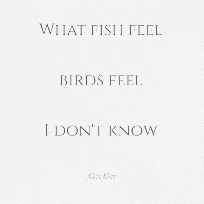 What fish feel Tee